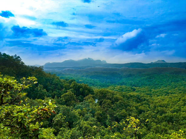 Pachmarhi Tour Package (02 Nights 03 Days)